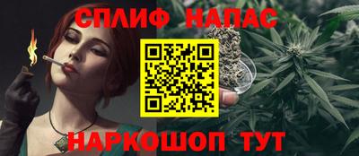 сатива Лесосибирск