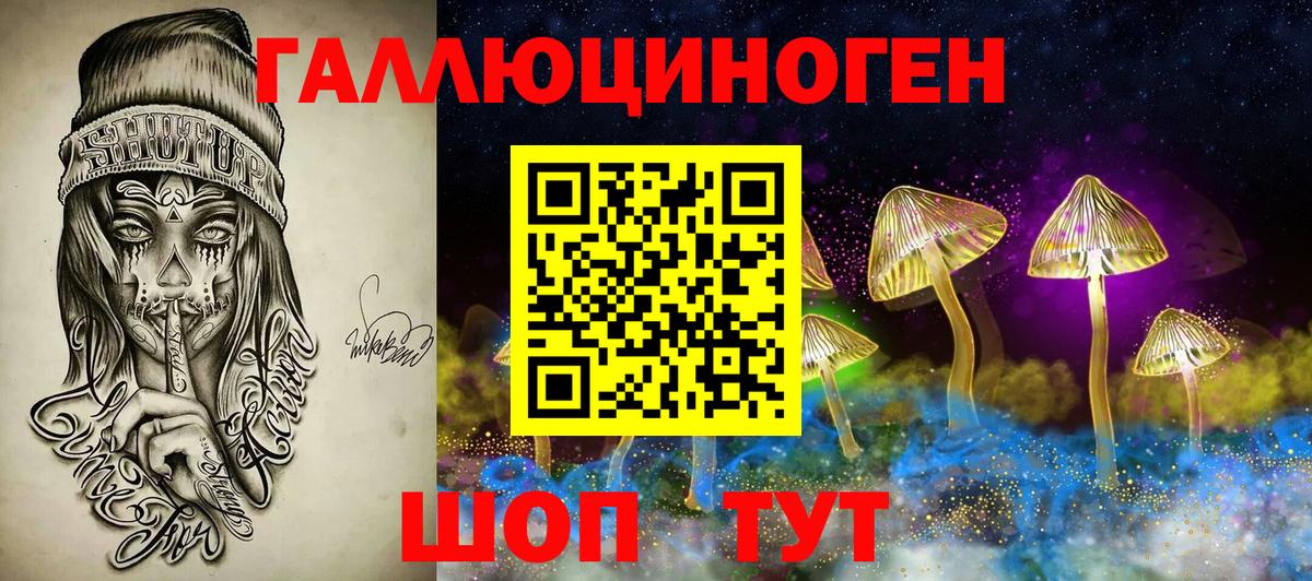 Галлюциногенные грибы Psilocybine cubensis Унеча
