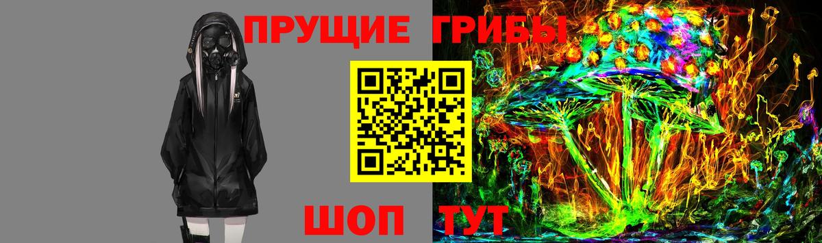 Унеча  Псилоцибиновые грибы GOLDEN TEACHER  продажа наркотиков  Вход с VPN 